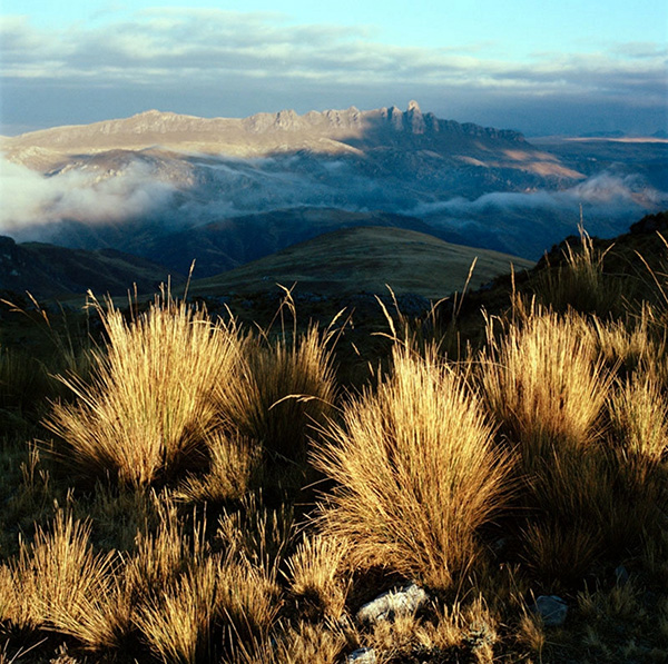 Carousel Image number 1