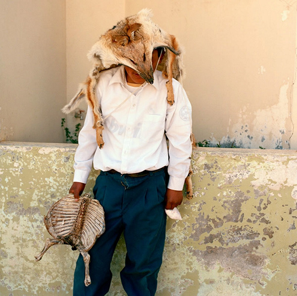 Carousel Image number 11