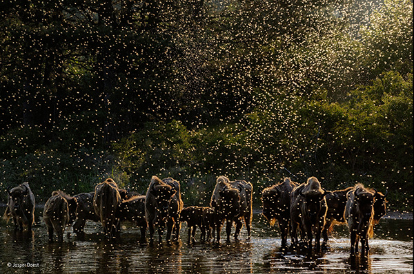 Carousel Image number 5