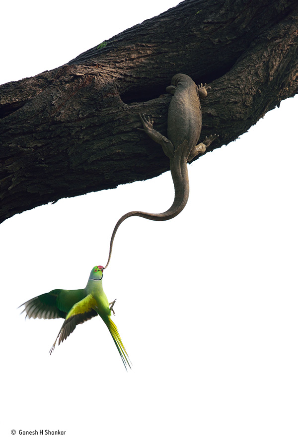 Carousel Image number 6