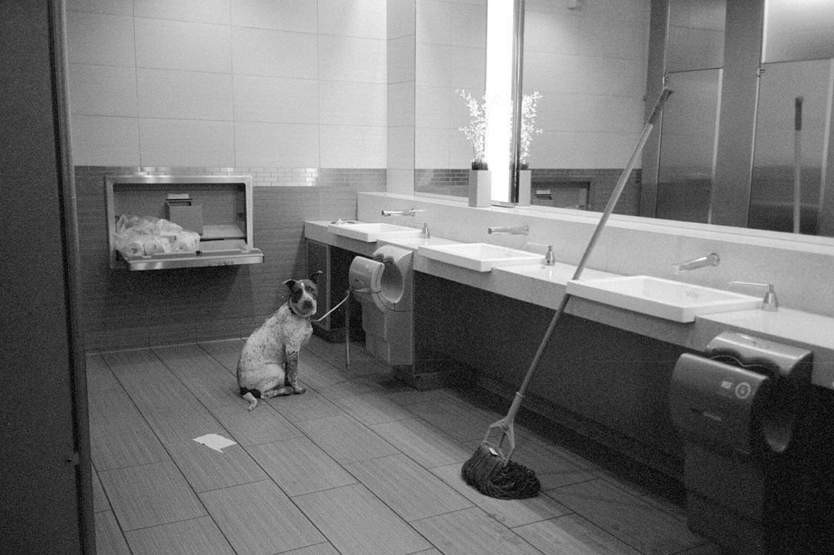 Carousel Image number 11