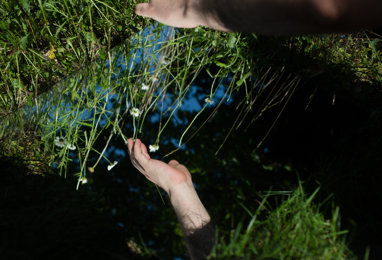 Carousel Image number 9