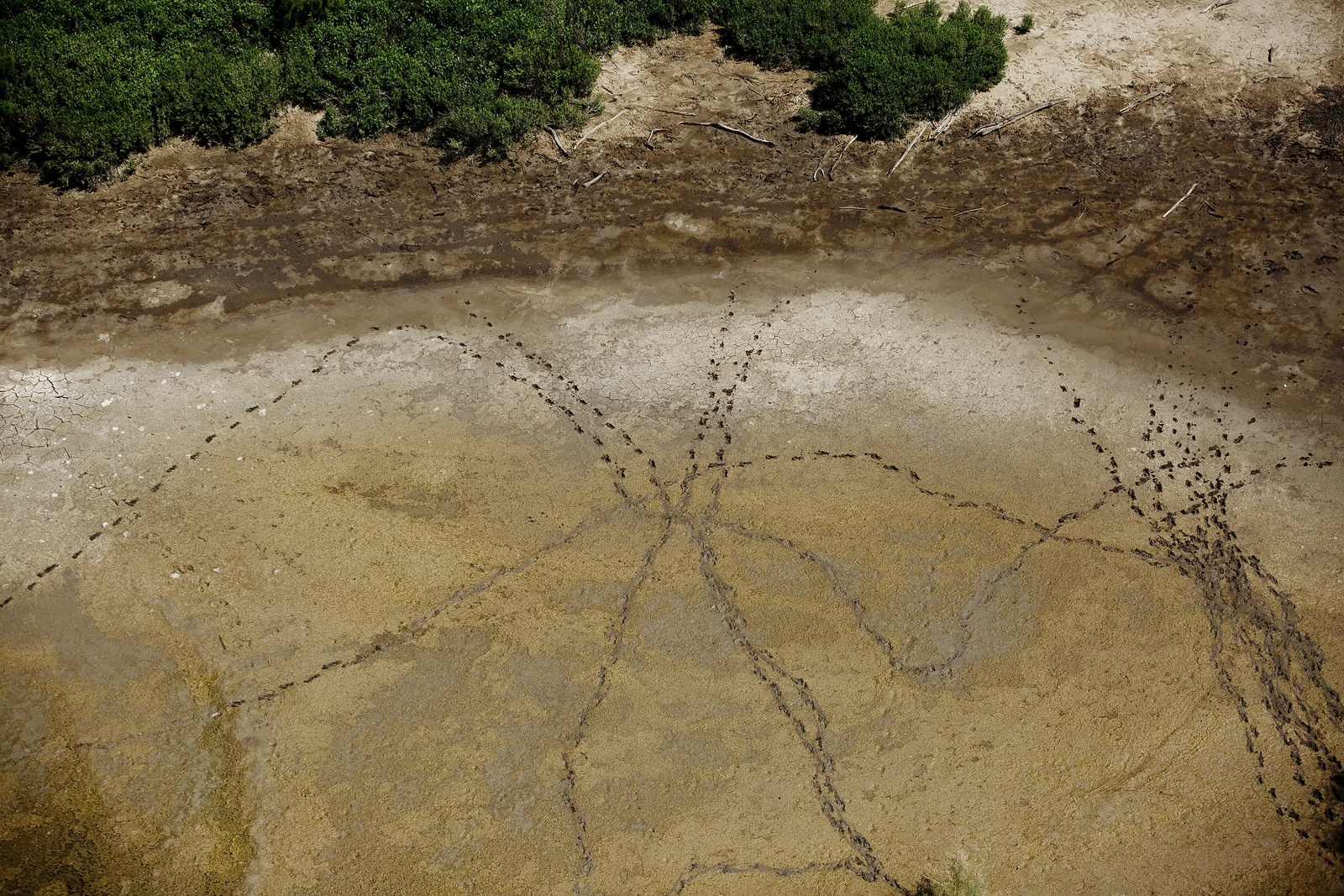 Carousel Image number 2