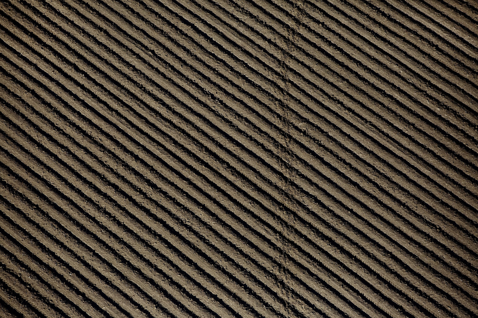 Carousel Image number 6