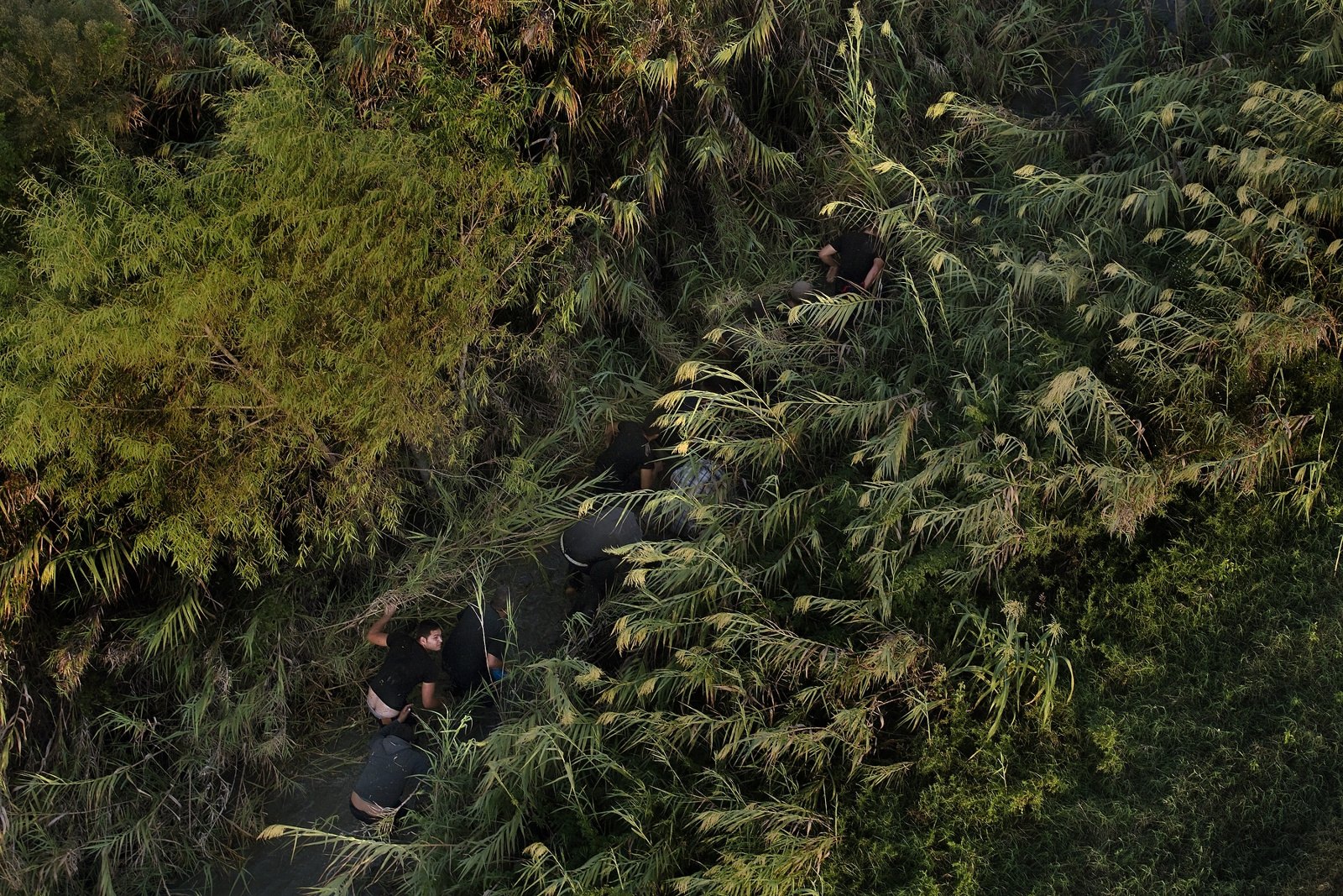 Carousel Image number 12