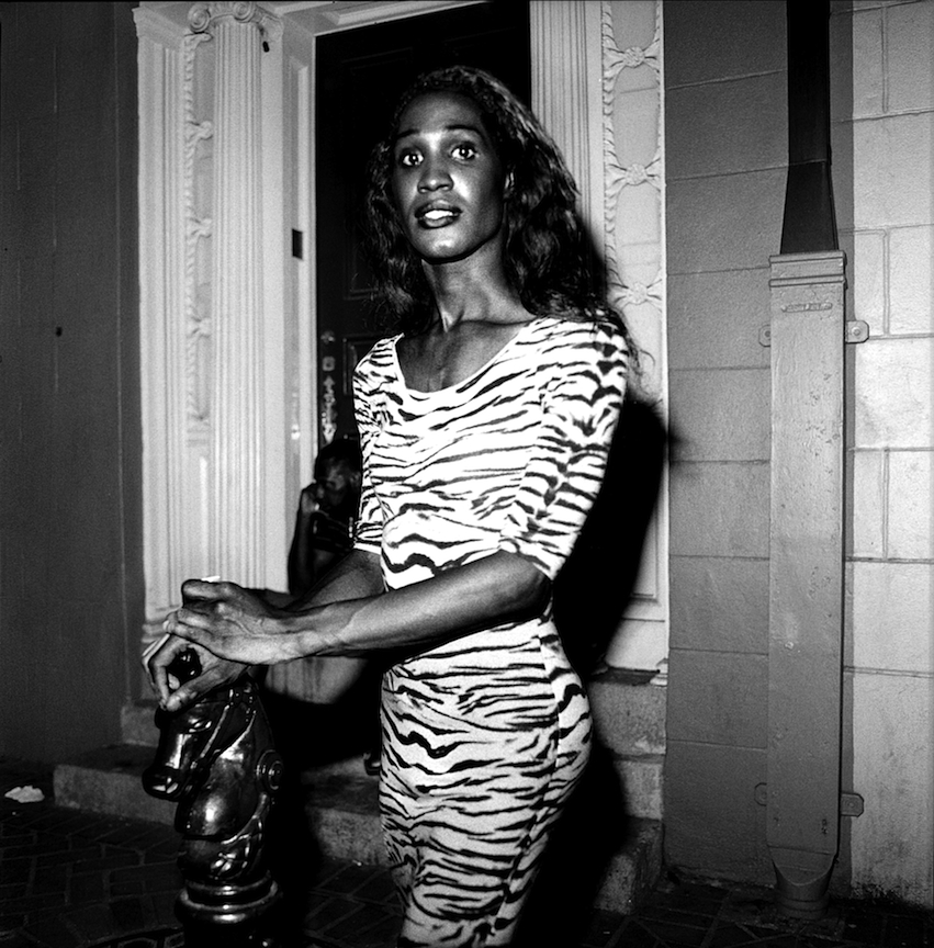 Carousel Image number 9