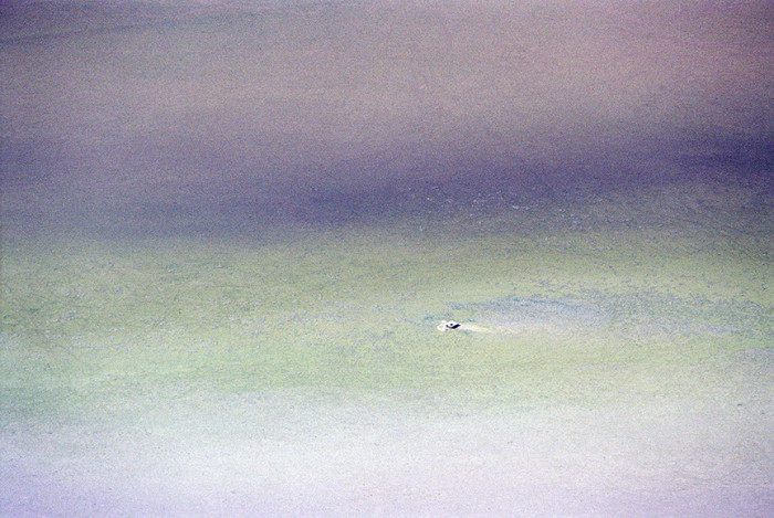 Carousel Image number 2