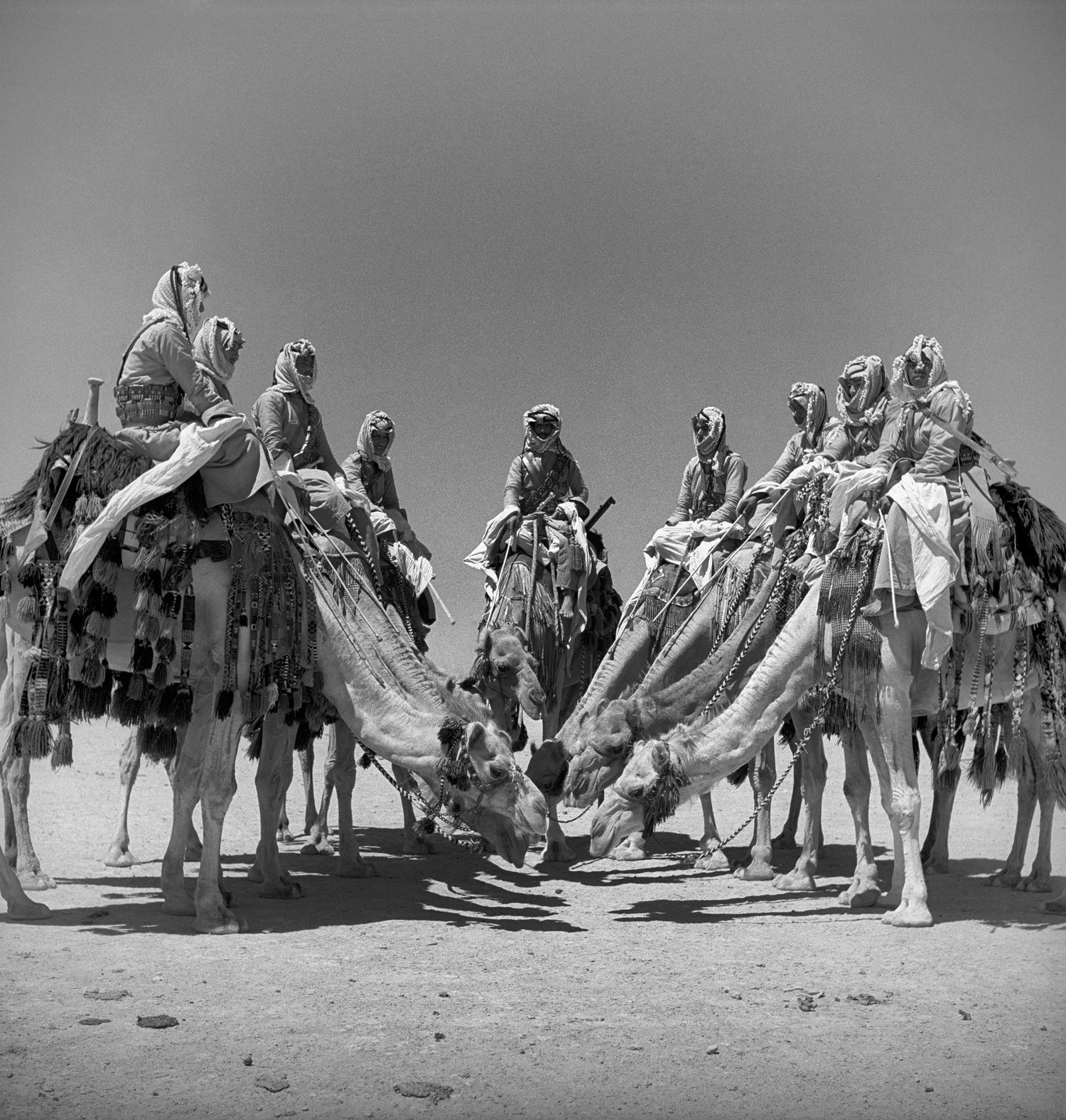 Carousel Image number 4