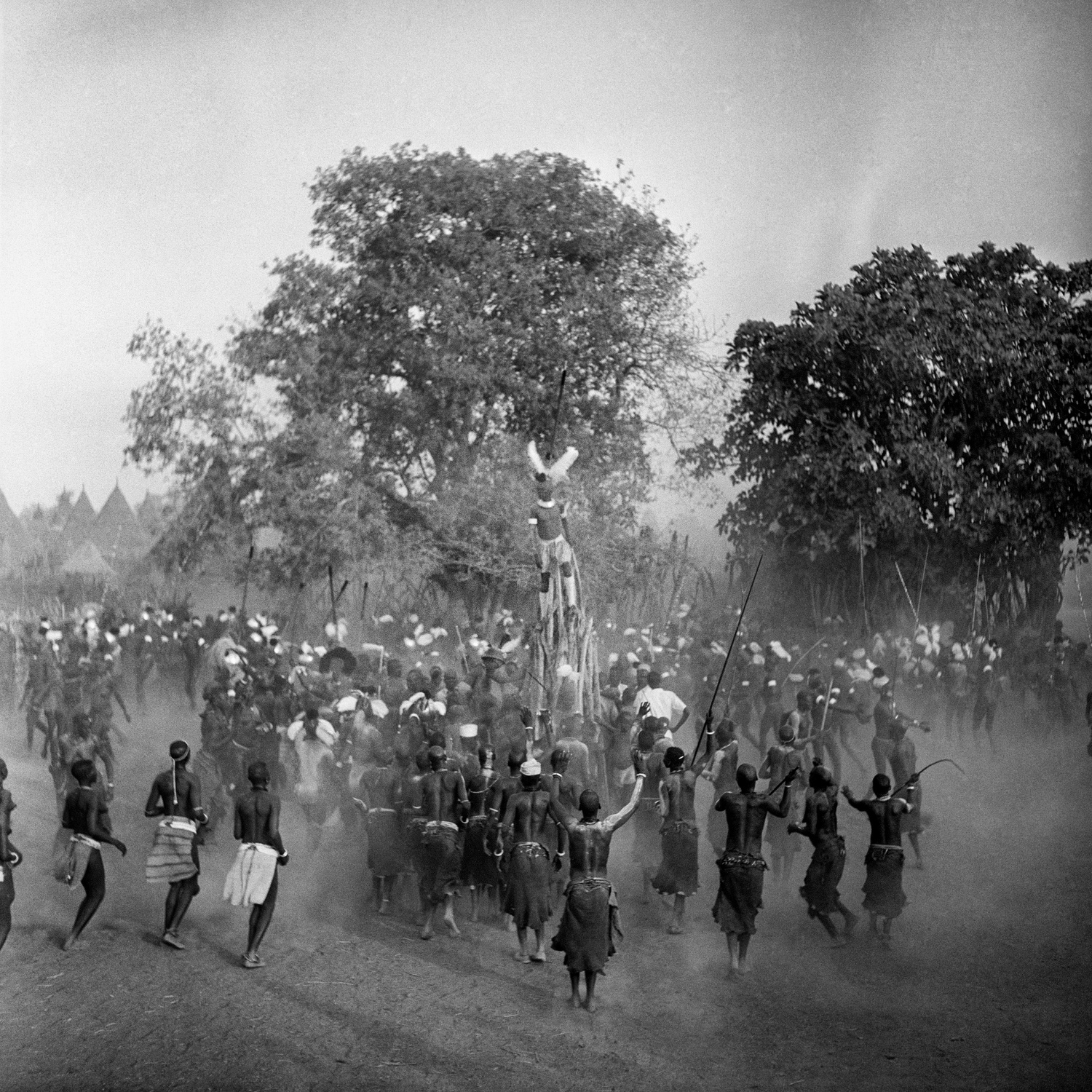 Carousel Image number 8