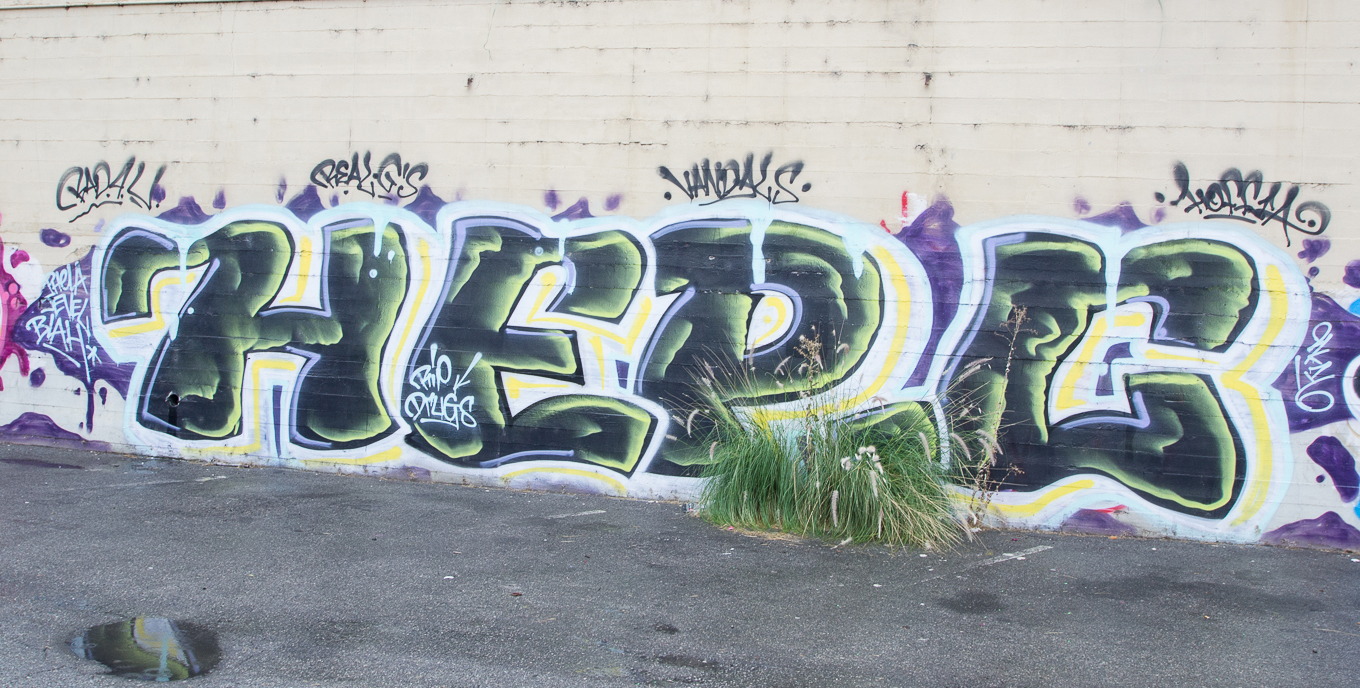 Carousel Image number 8