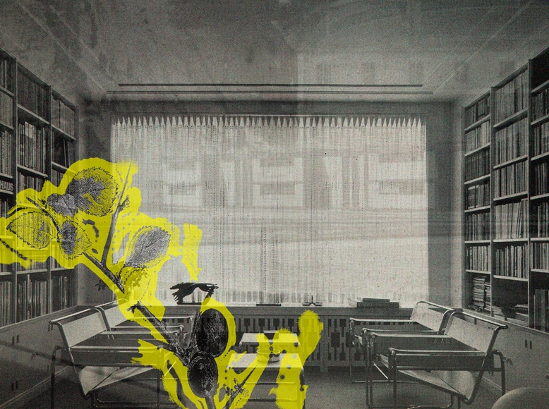 Carousel Image number 4