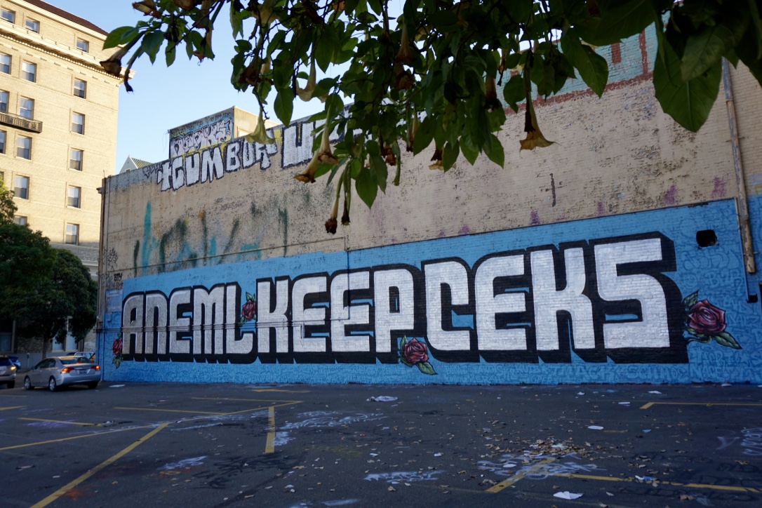 Carousel Image number 8