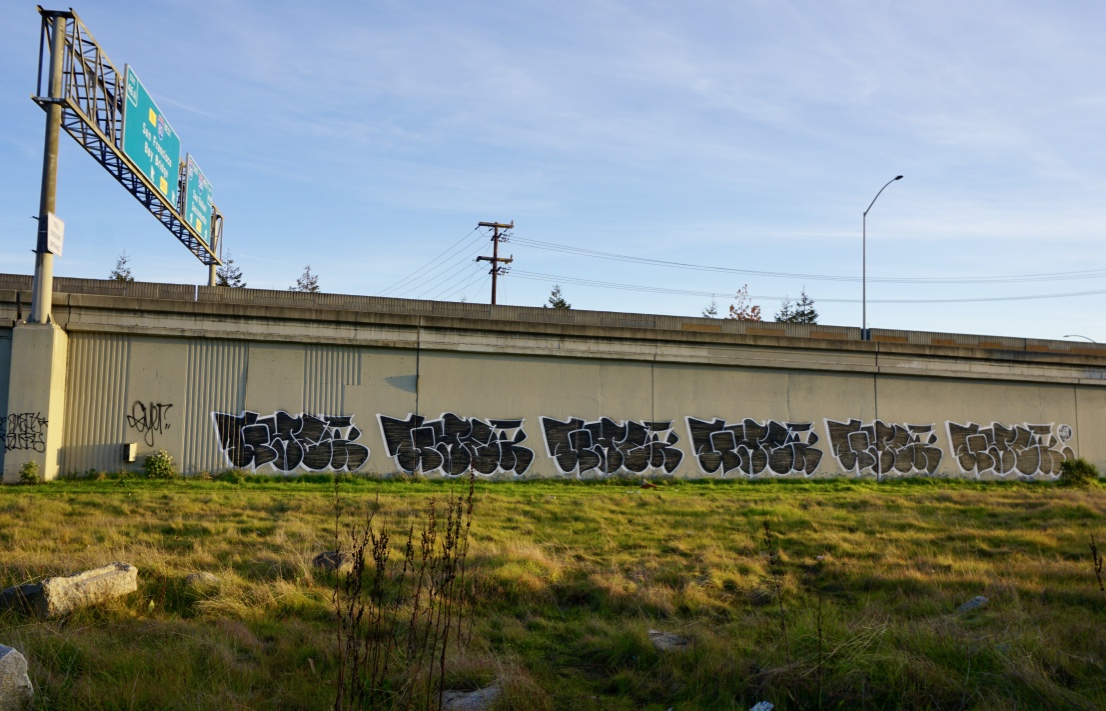 Carousel Image number 13