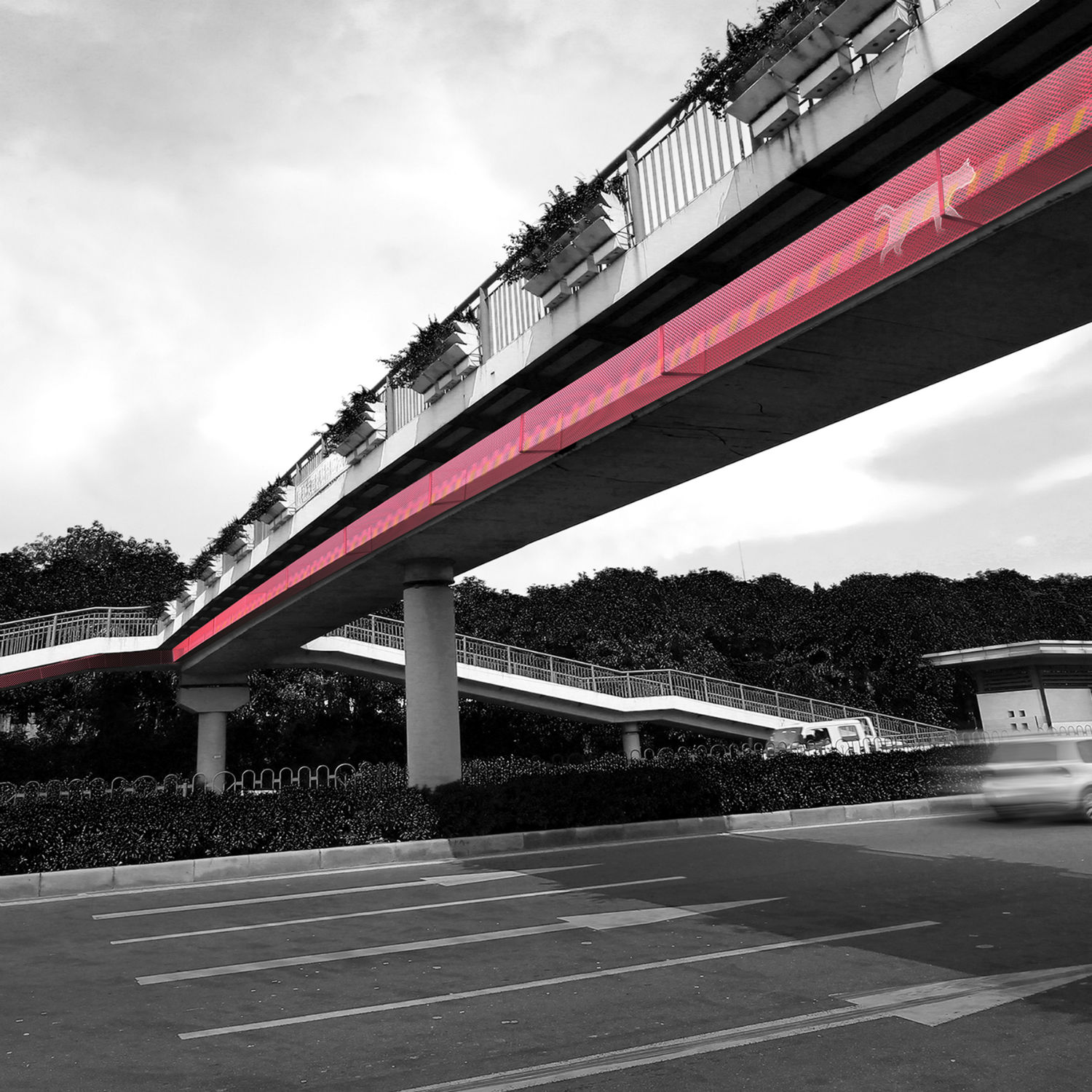 Red Line Cat Overpass