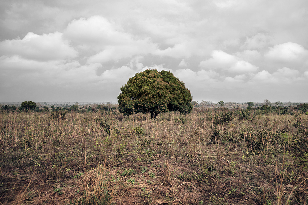 Carousel Image number 2