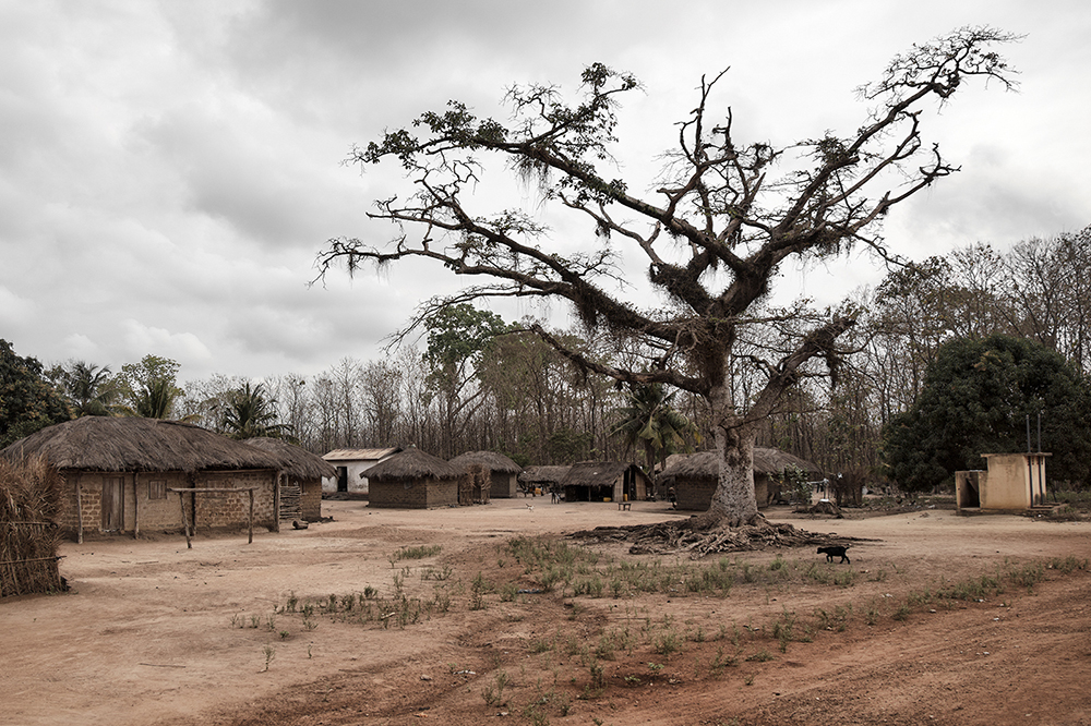 Carousel Image number 4