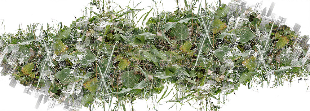 Carousel Image number 1