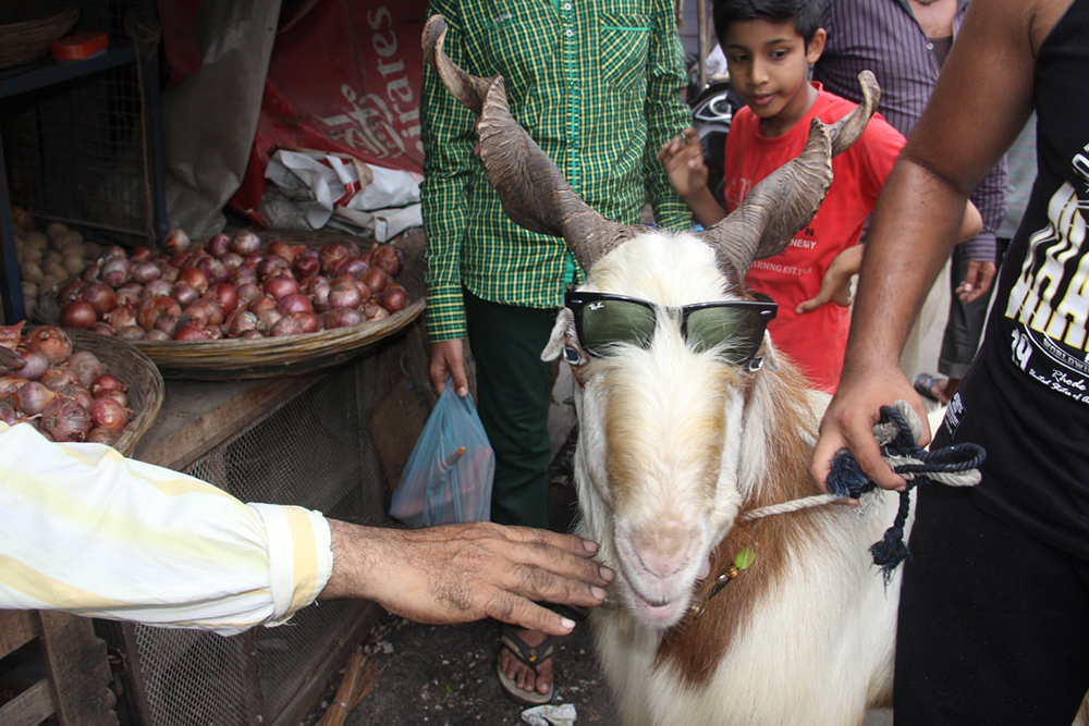 Carousel Image number 4