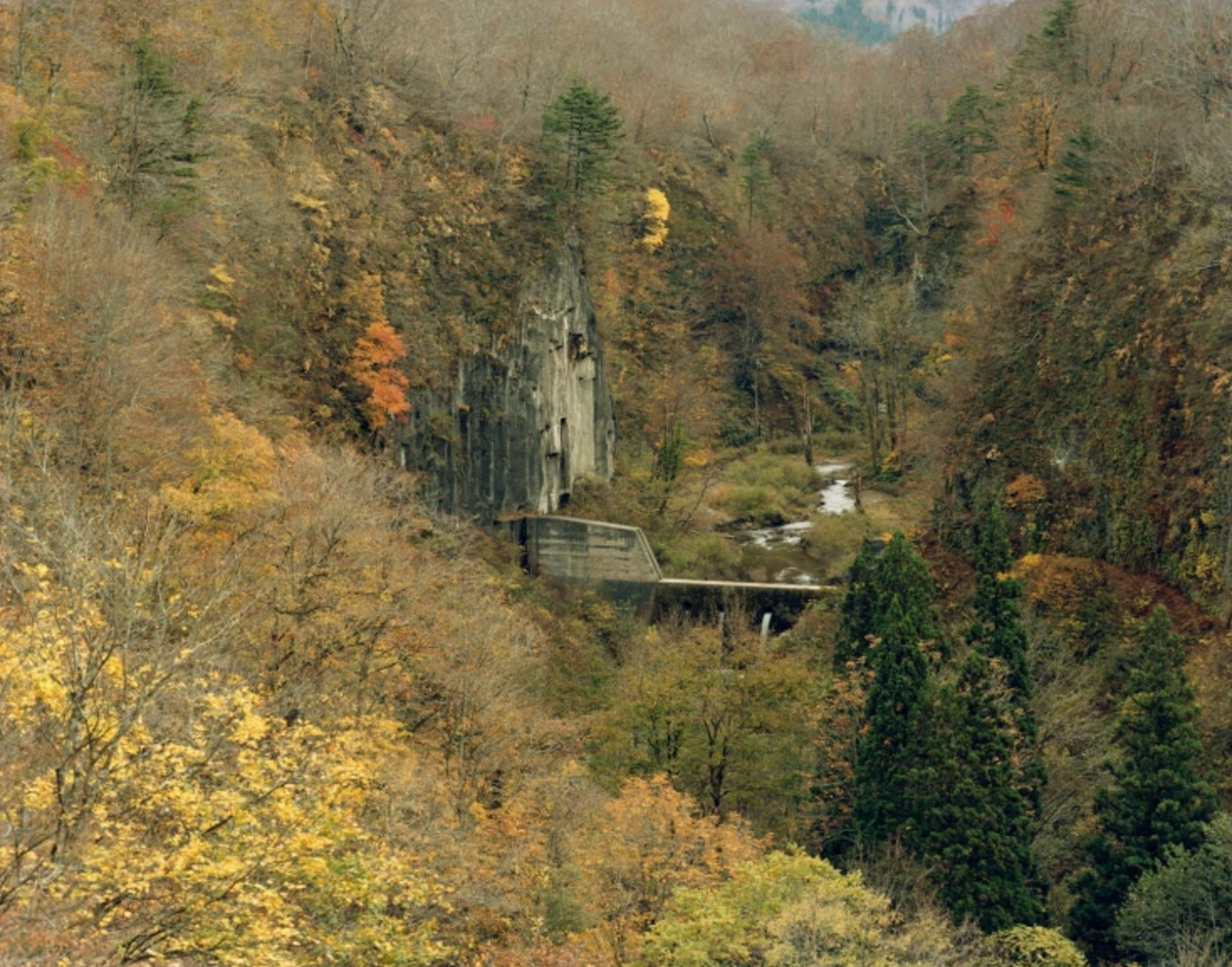 Carousel Image number 2