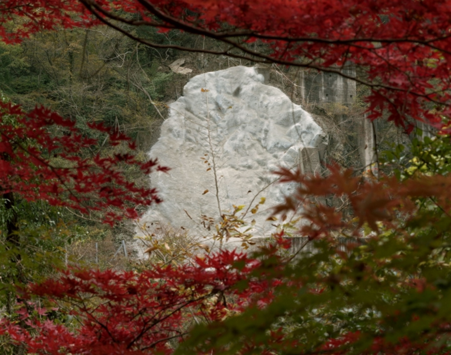 Carousel Image number 6