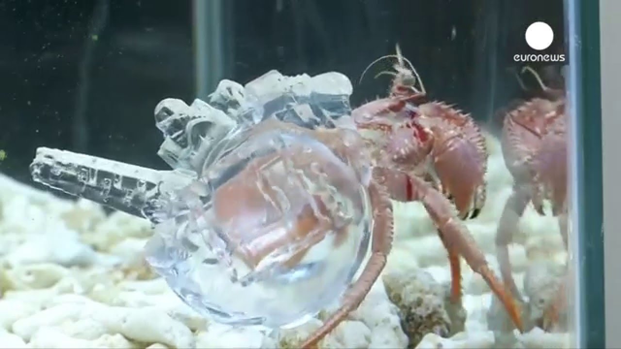 Carousel Image number 11