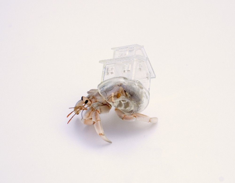 Carousel Image number 15