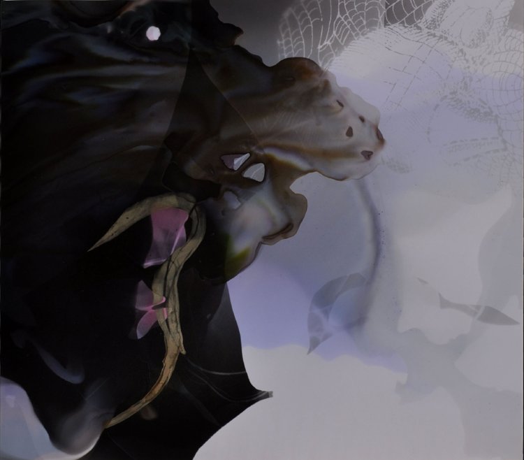 Carousel Image number 1