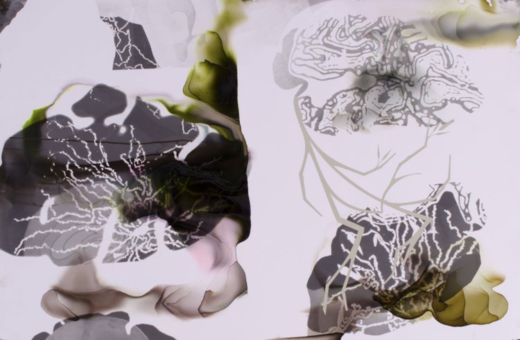 Carousel Image number 2