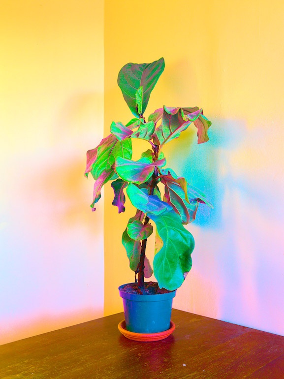 Carousel Image number 1