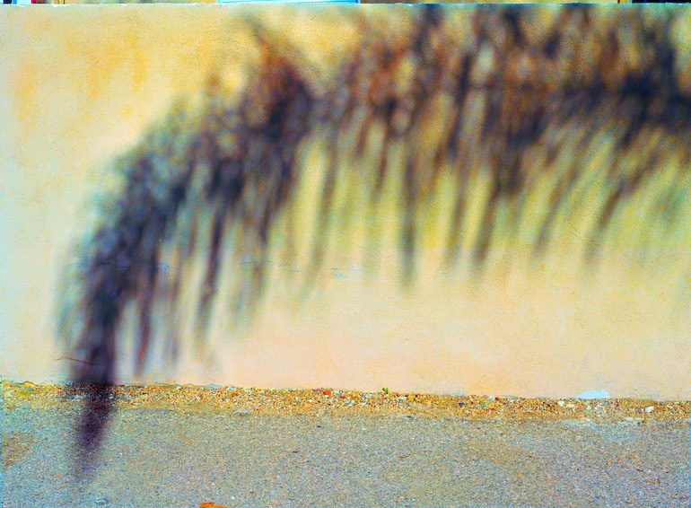 Carousel Image number 6