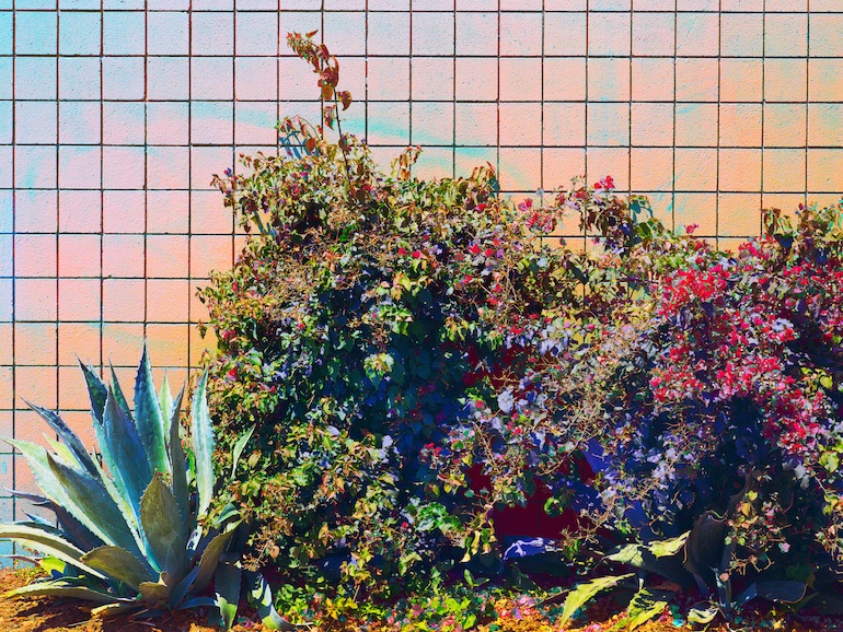 Carousel Image number 7