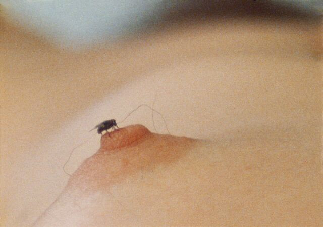 Carousel Image number 1