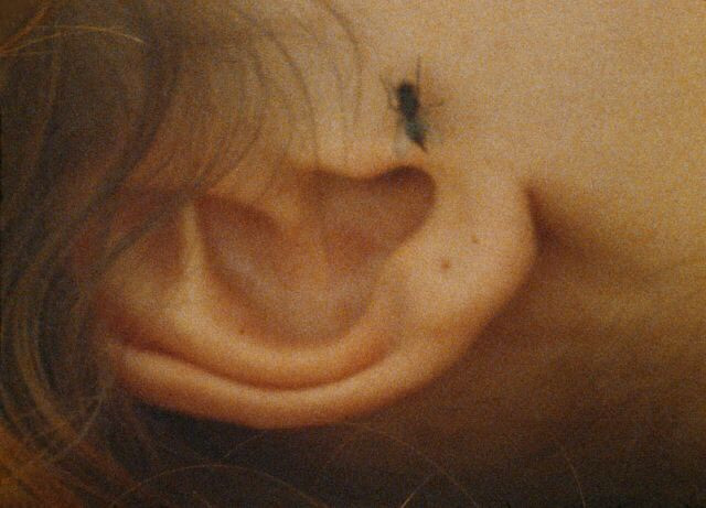 Carousel Image number 2