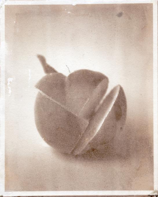 Carousel Image number 5