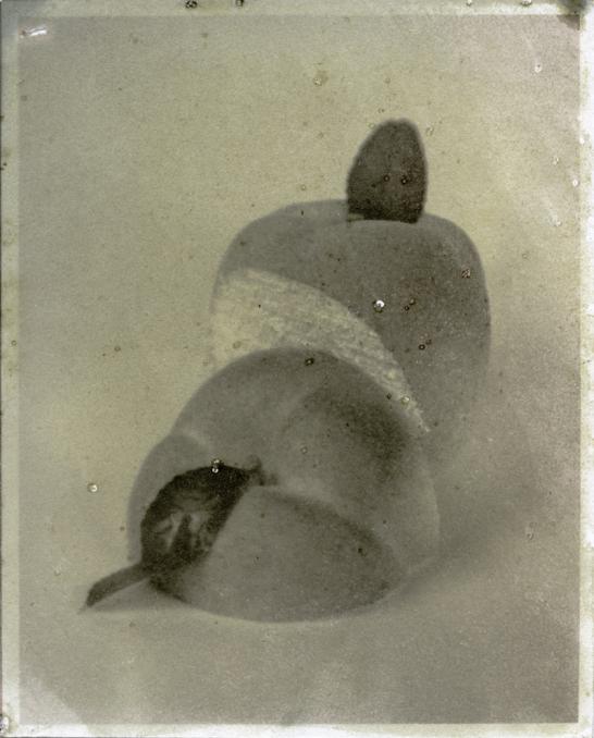 Carousel Image number 6