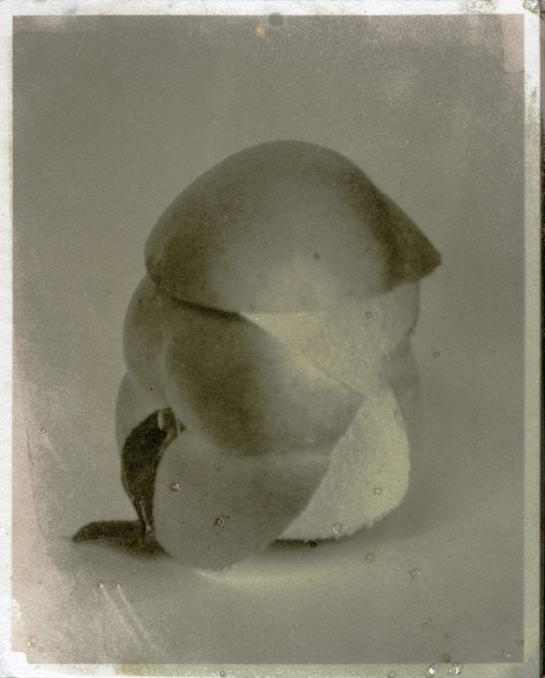 Carousel Image number 8