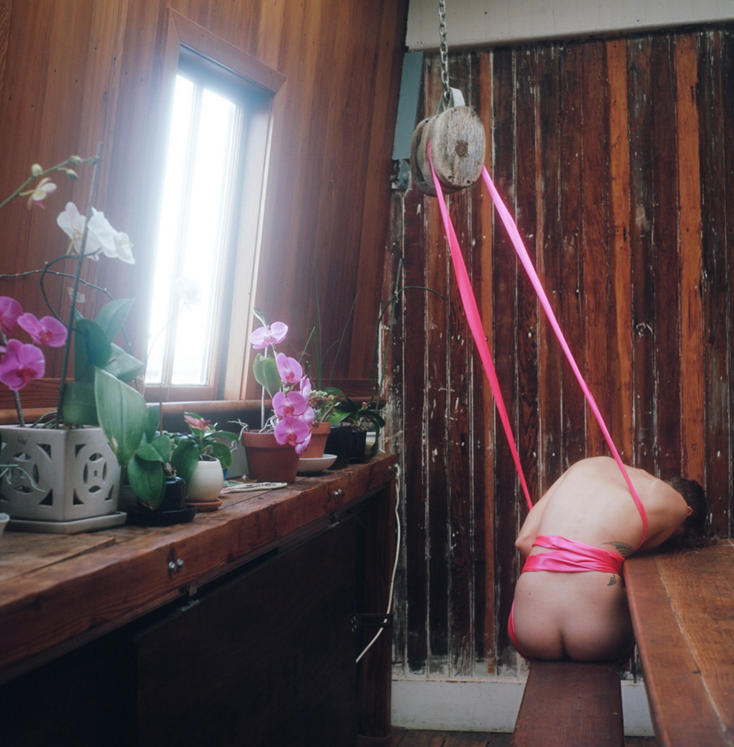 Carousel Image number 3