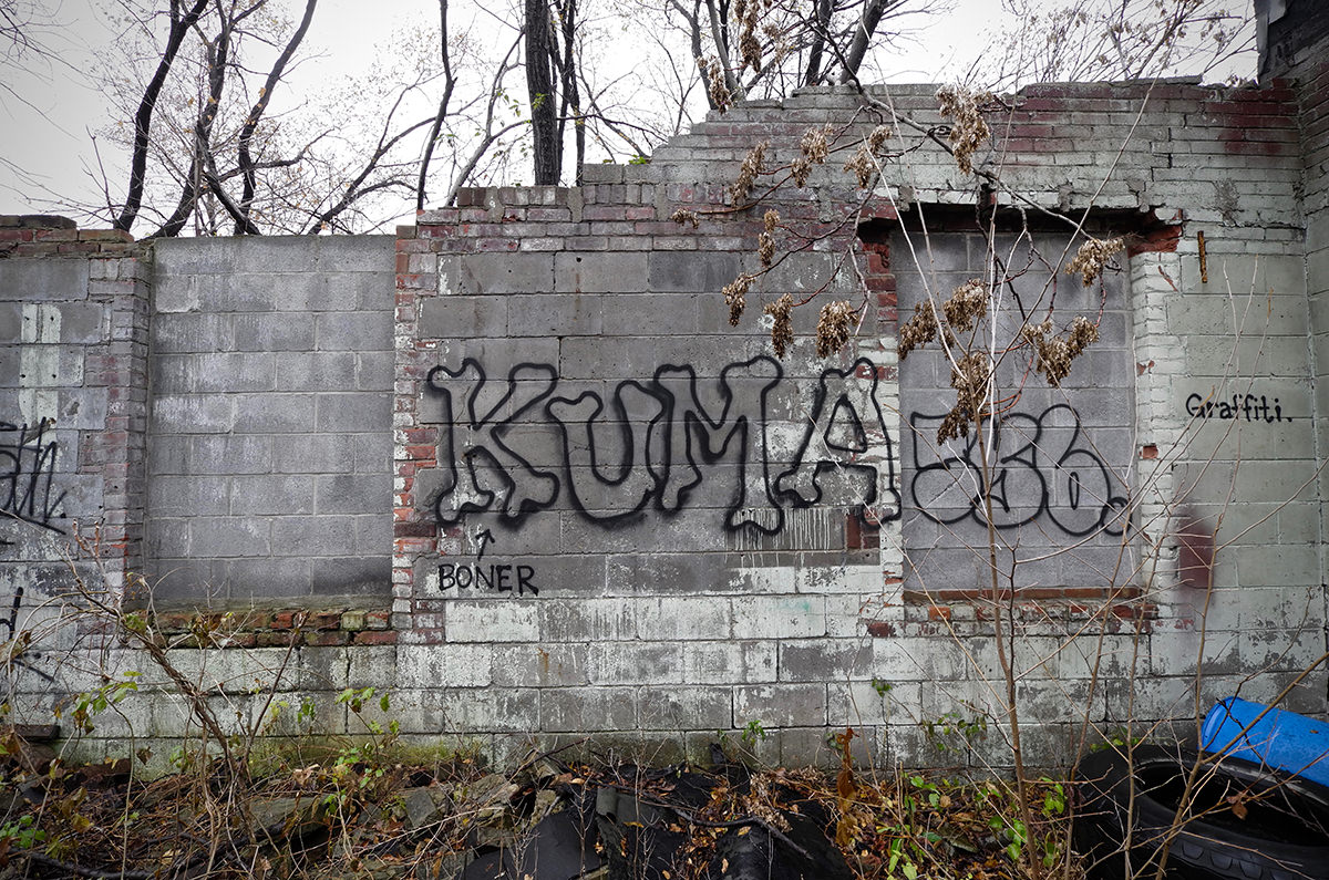 Carousel Image number 6