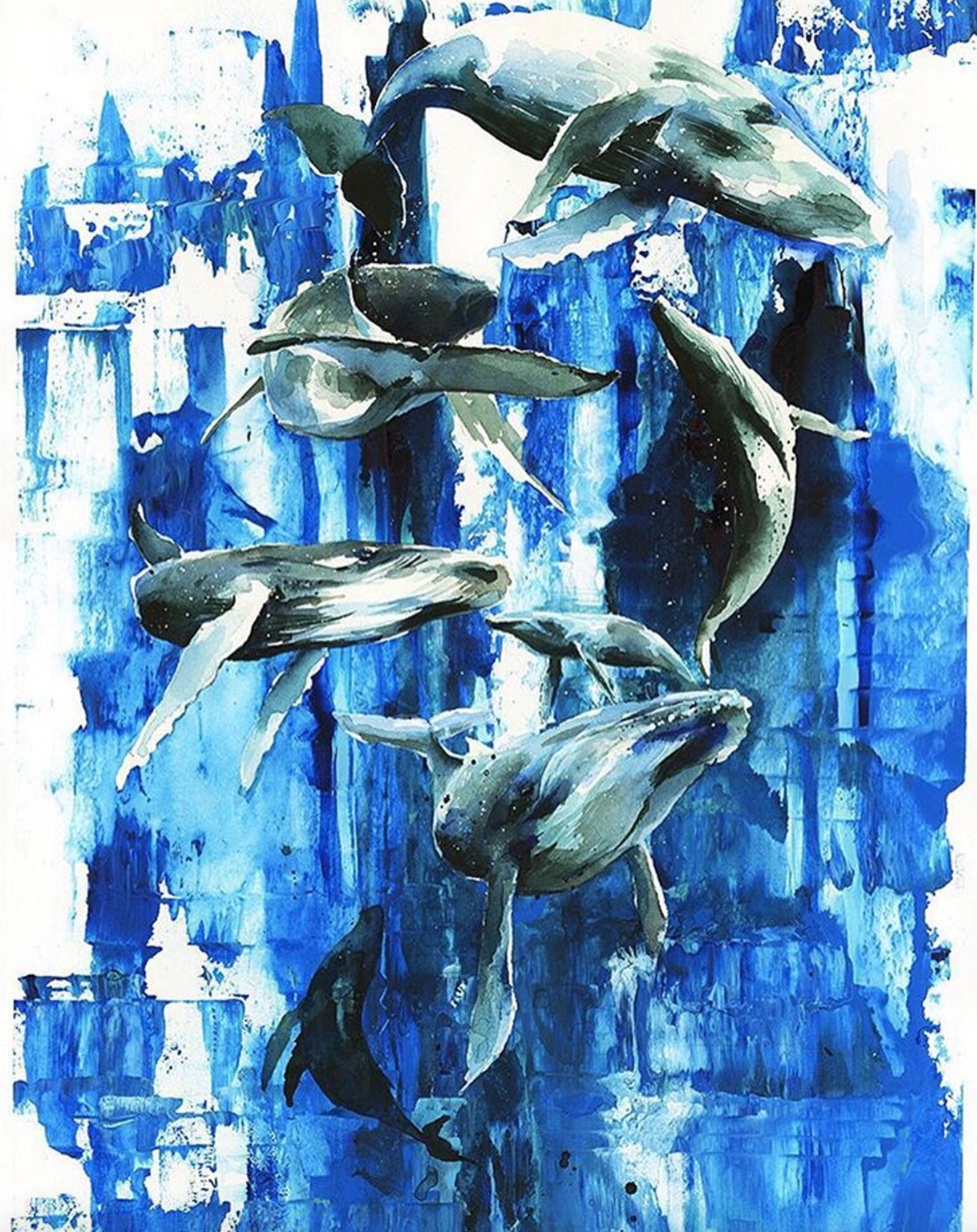 Carousel Image number 6