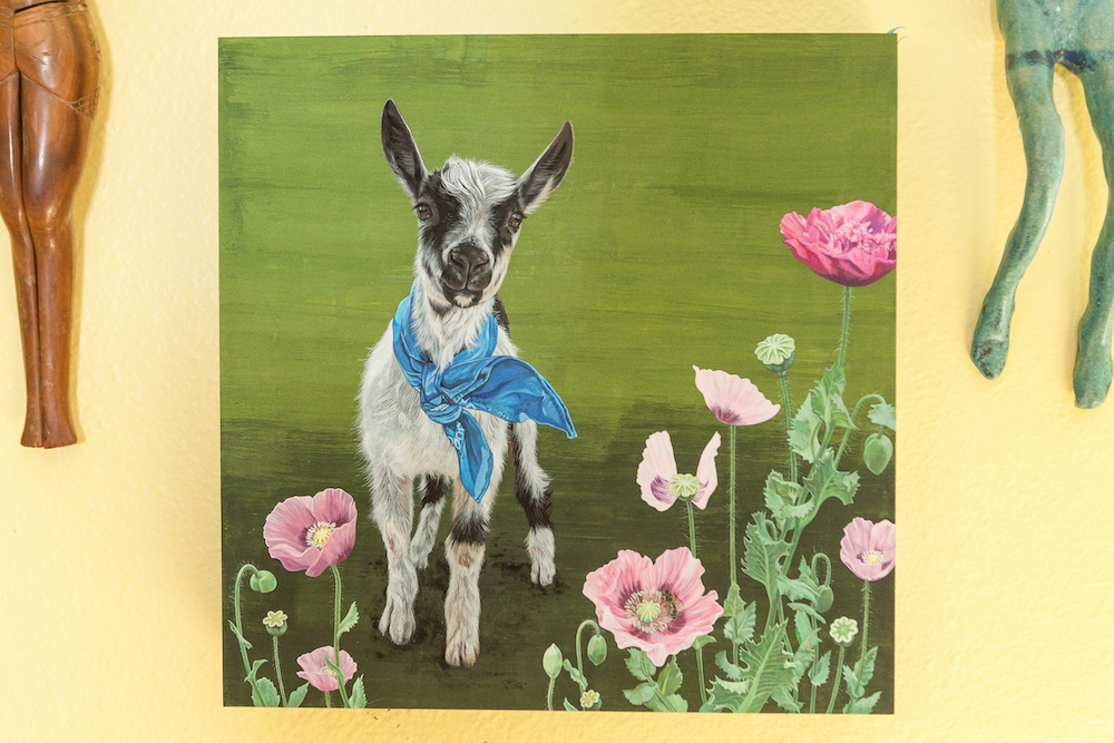 Carousel Image number 9