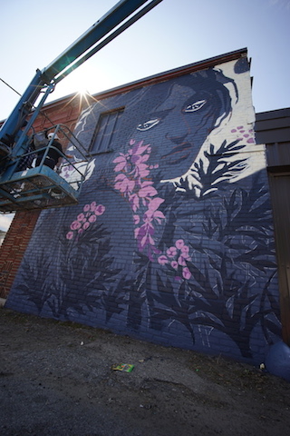 Carousel Image number 8