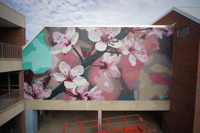 Carousel Image number 33