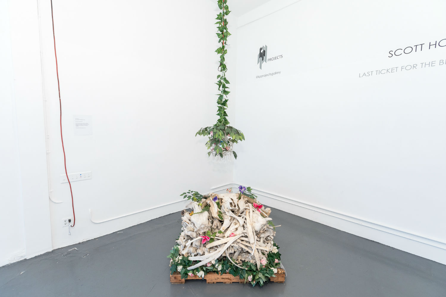 Carousel Image number 5