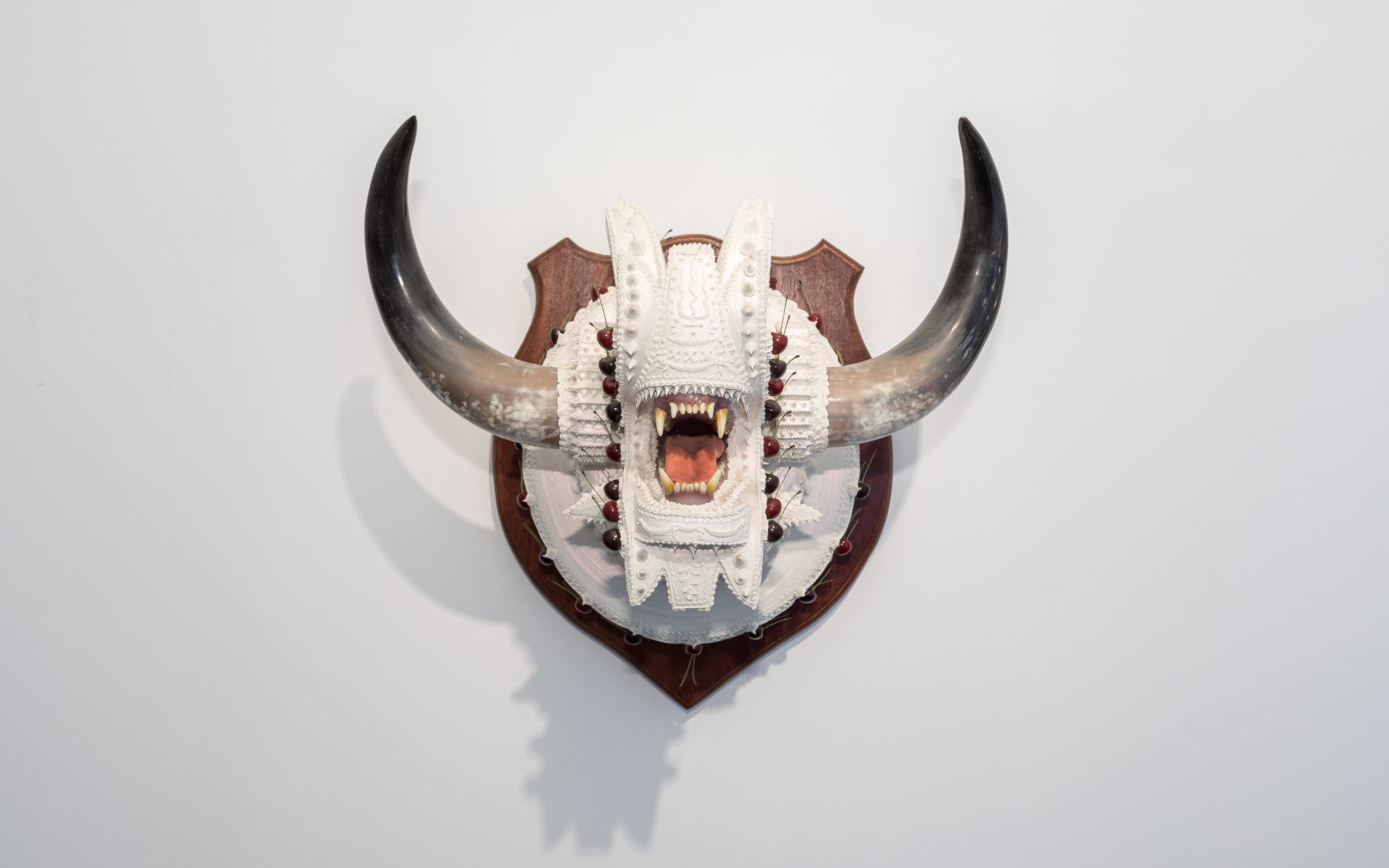 Carousel Image number 14