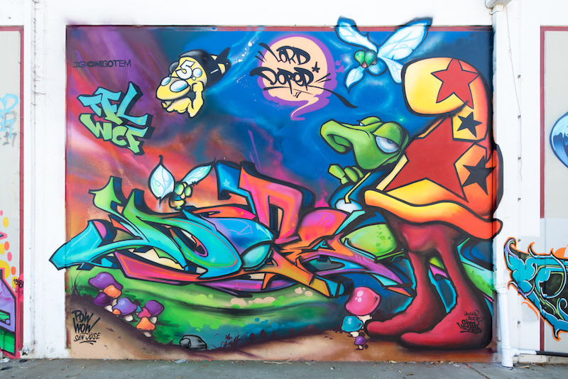 Carousel Image number 6