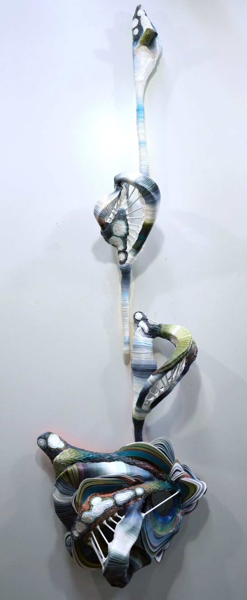 Carousel Image number 5