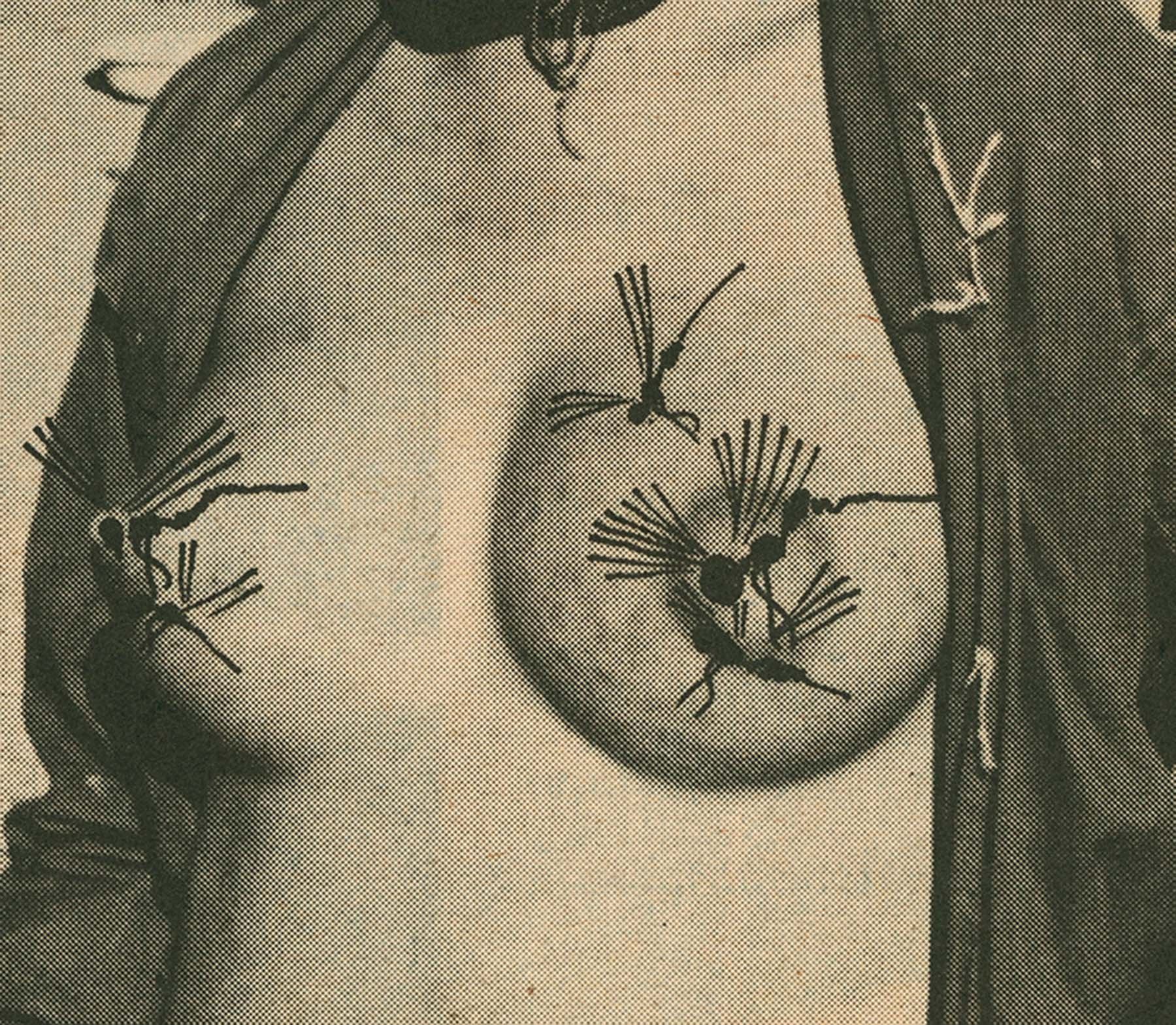 Carousel Image number 7