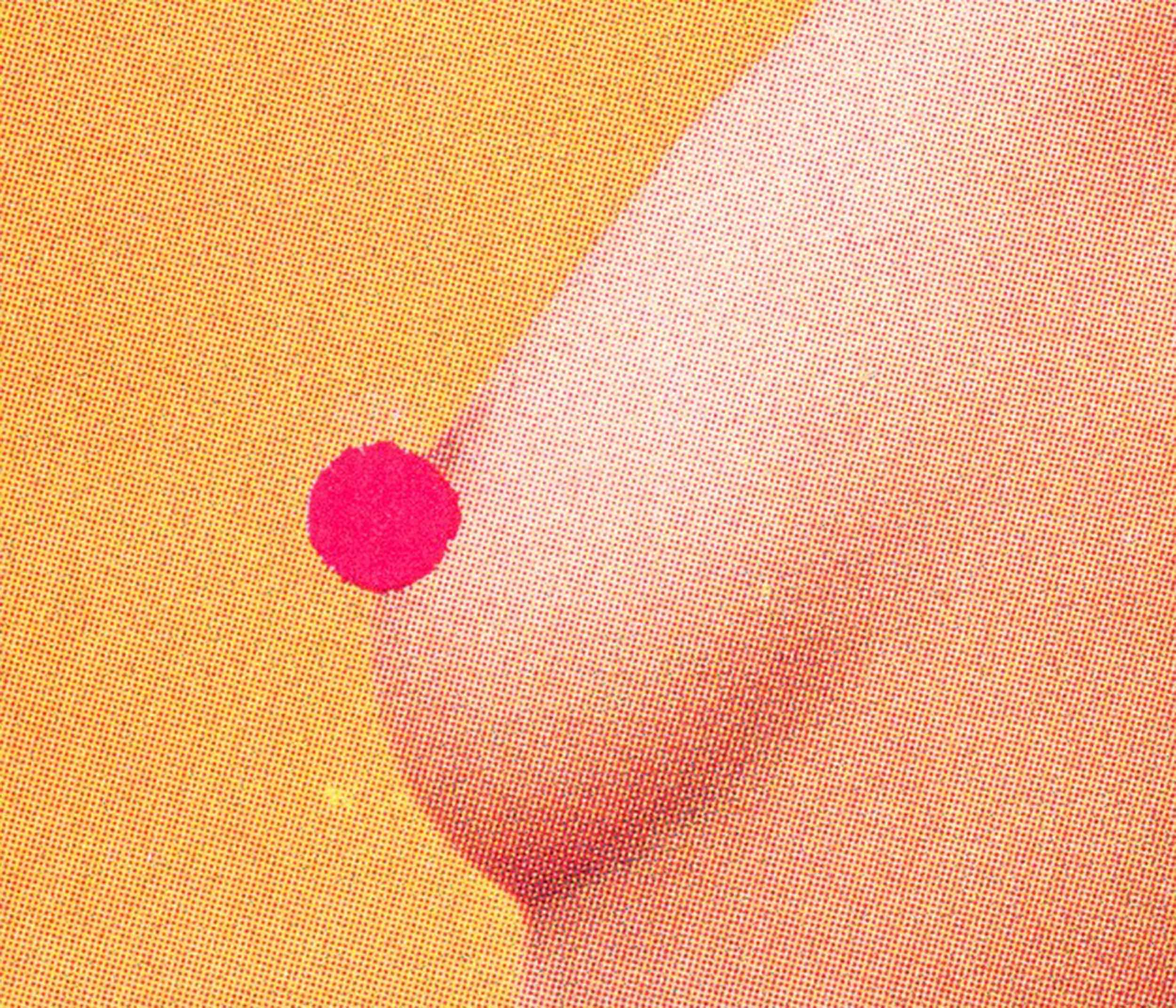 Carousel Image number 10