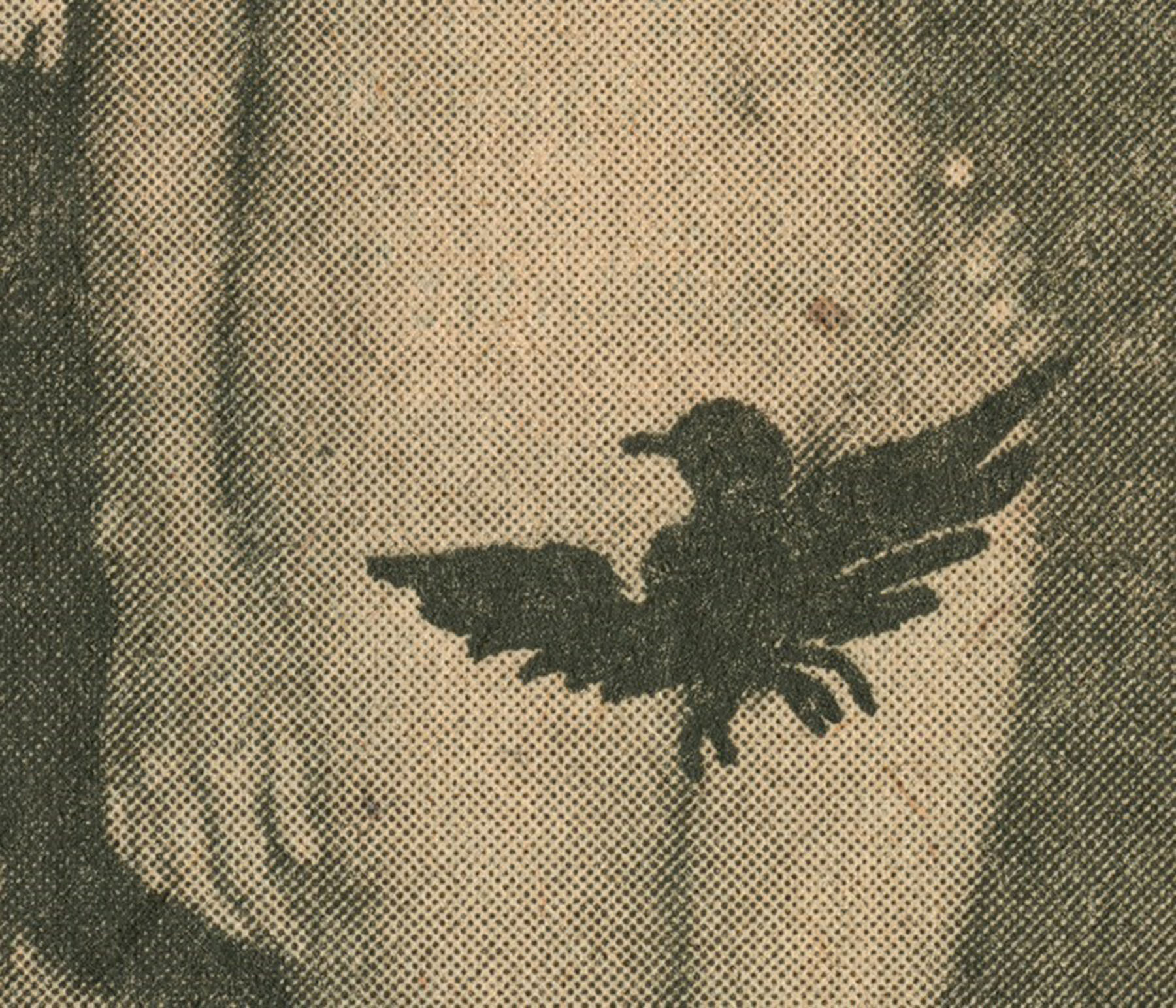 Carousel Image number 11