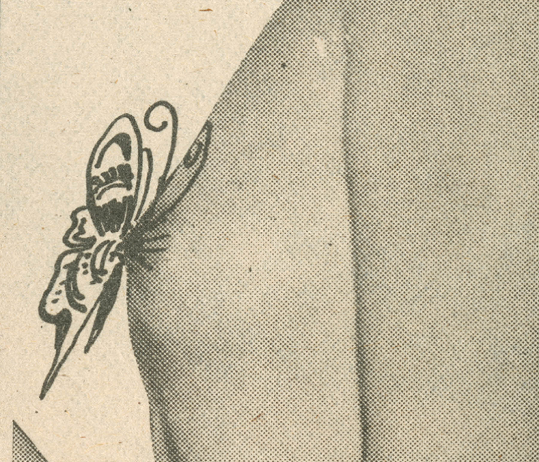 Carousel Image number 15